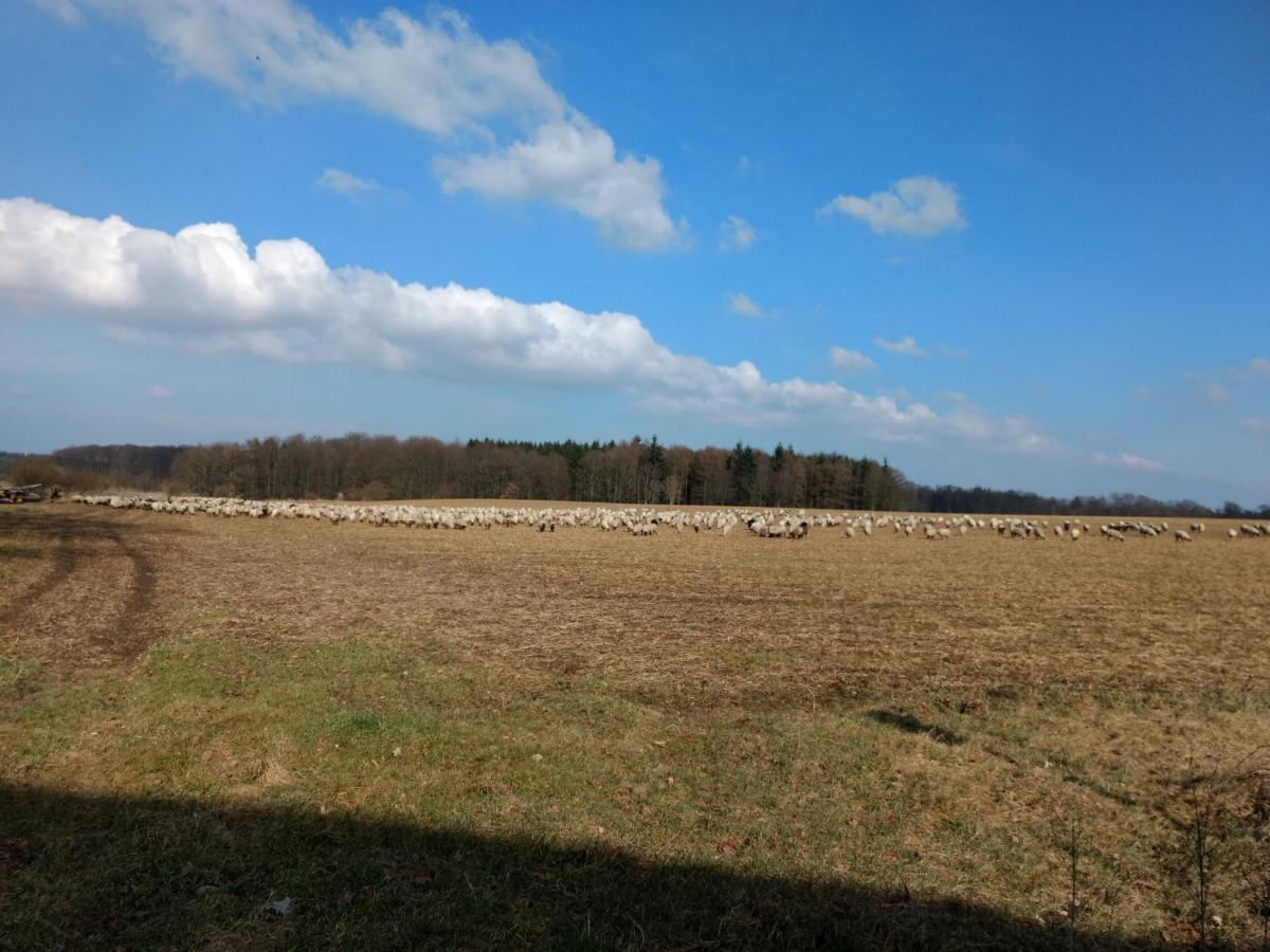 Fewo Haus Patze Betzendorf Zewnętrze zdjęcie